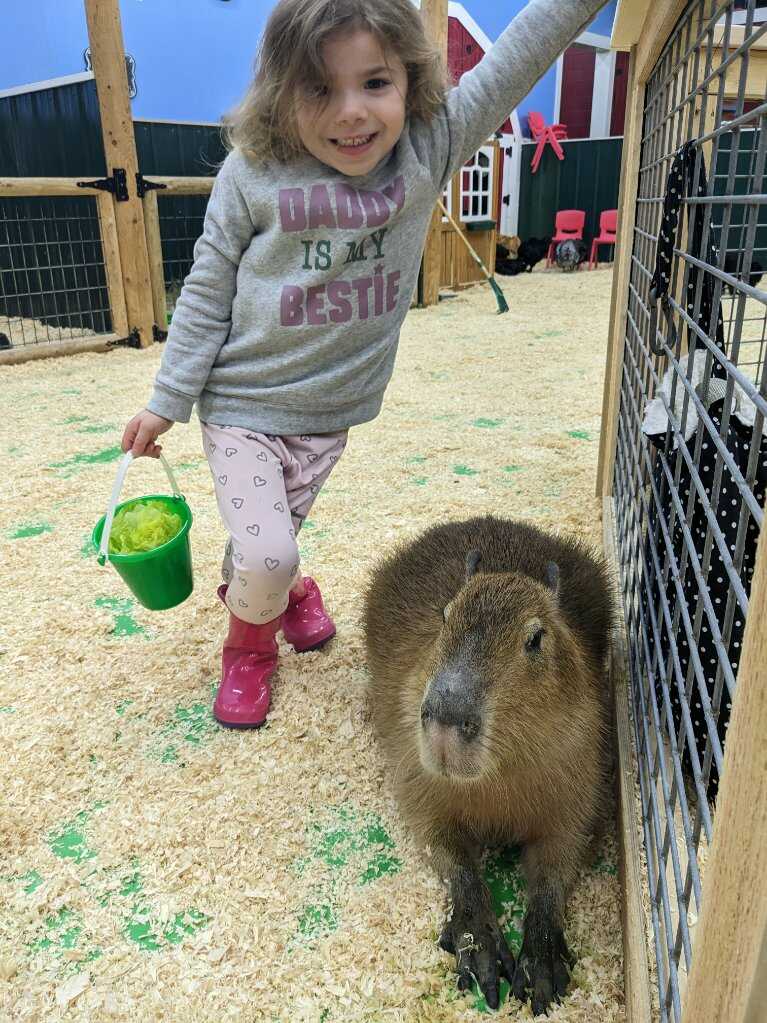 Debbie Dolittle's - Indoor Petting Zoo