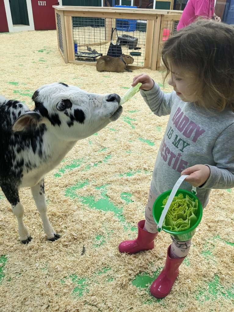 Debbie Dolittle's Indoor Petting Zoo